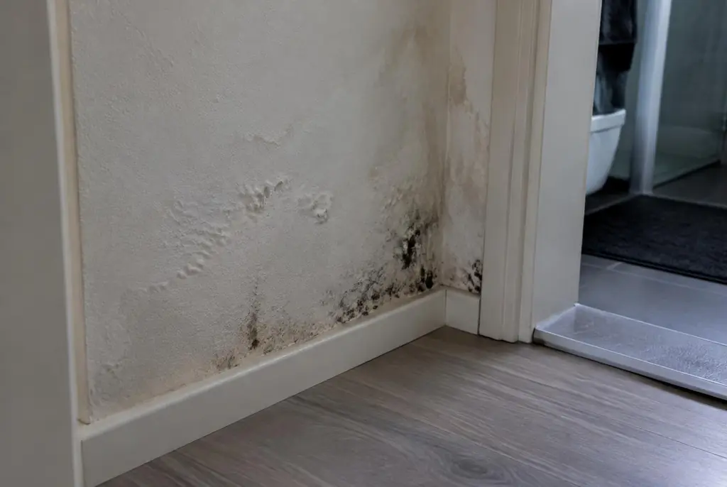 Lekdetectie Waddinxveen – vochtplek met schimmel op een muur